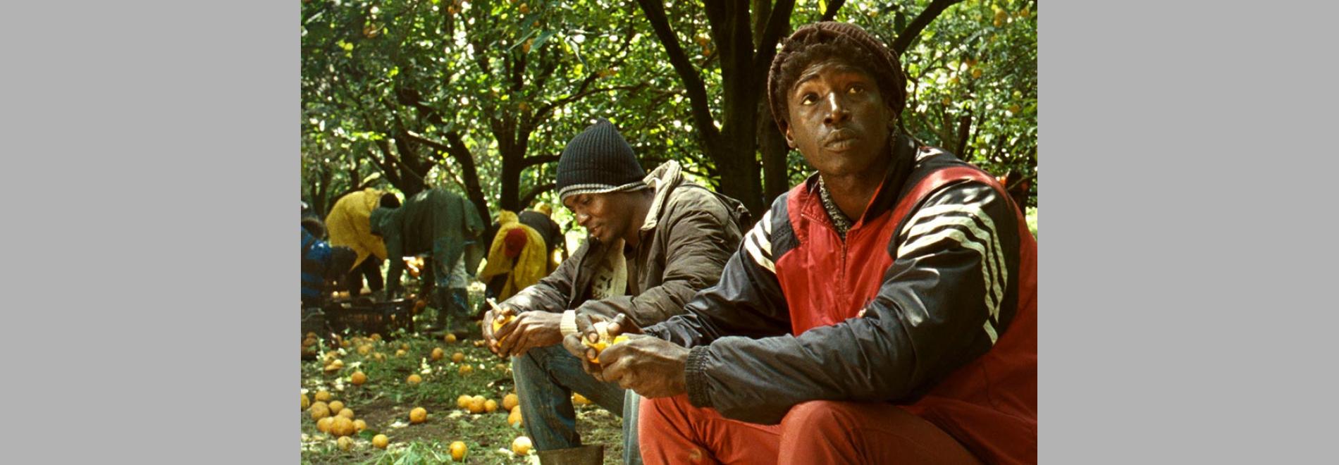 Mediterranea (Jonas Carpignano, 2015)