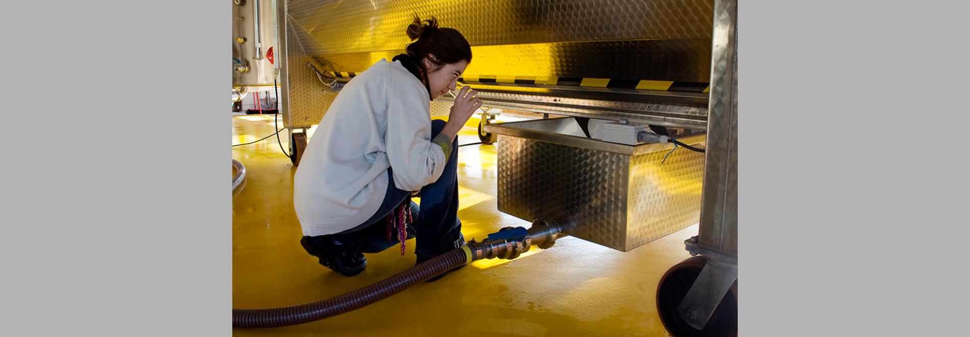 Terra d’oportunitats