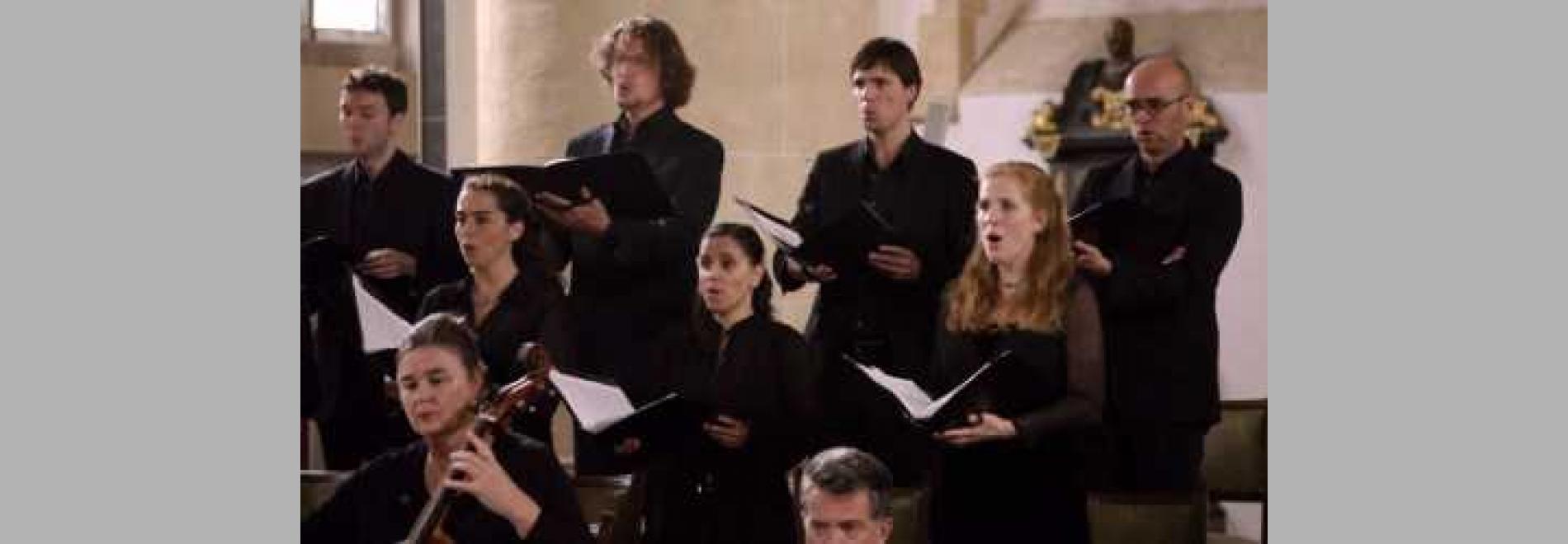 All of Bach (Netherlands Bach Society)