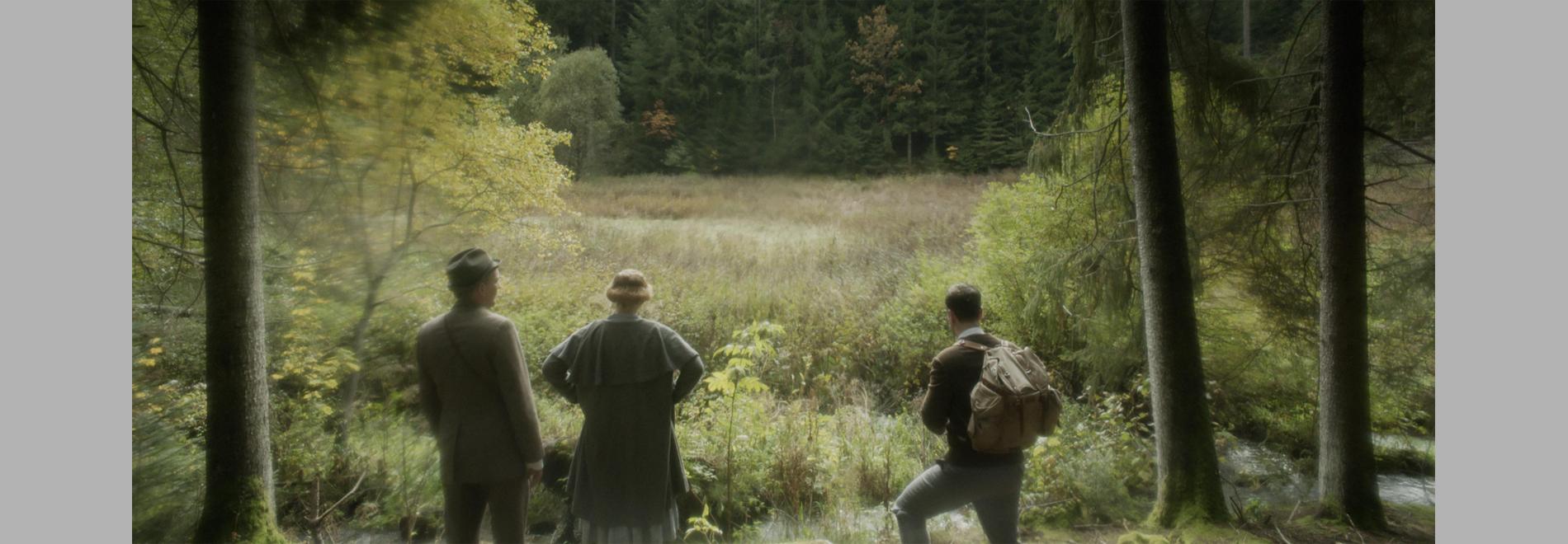 Zerrumpelt Herz / El concilio de los pájaros (Timm Kröger, 2014)