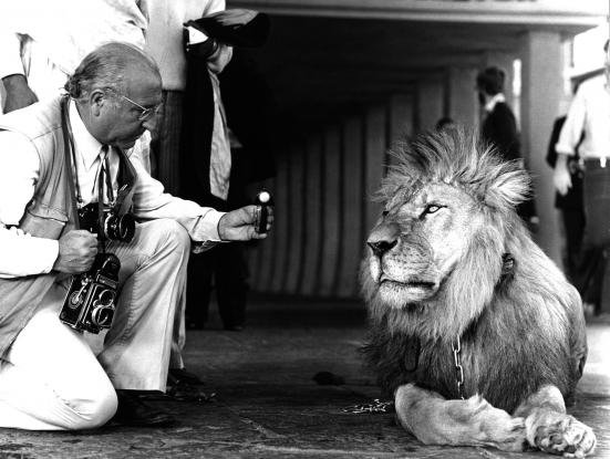 Foto Frederic Gómez Grau