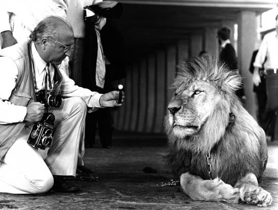 Frederic Gómez Grau 01