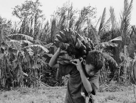 Mula sa kung ano ang noon / From What Is Before  (Lav Diaz, 2014) 2