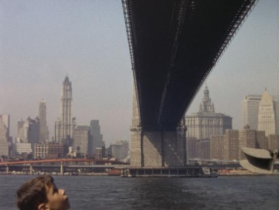 Paseo por New York Harbour