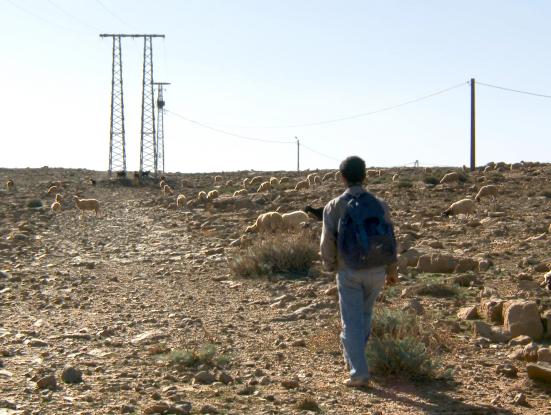 Pastorales elèctriques