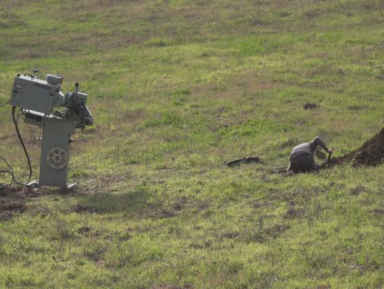 Imatge Donar cabuda. Perejaume