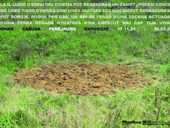 Imatge Donar cabuda. Perejaume 2