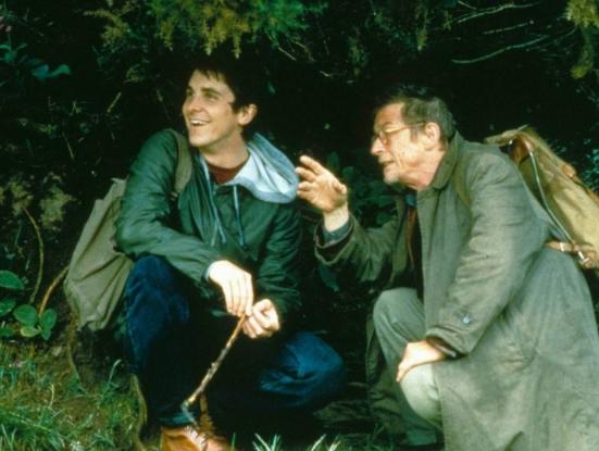 All the Little Animals 