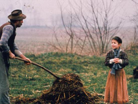 L'albero degli zoccoli (3)