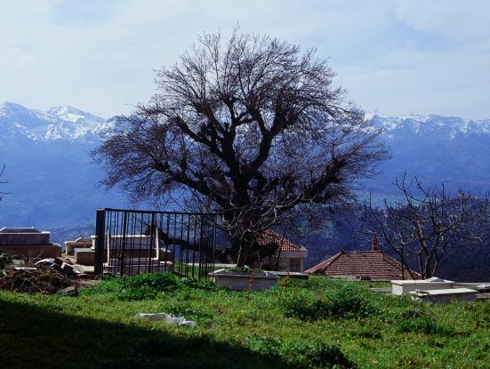Marinheiro das Montanhas