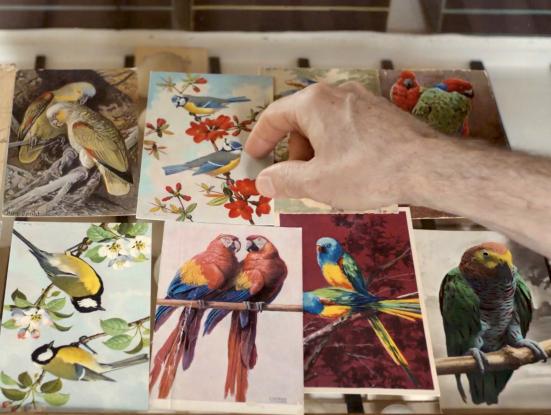 Fotograma del film Langue des oiseaux. Érik Bullot, 2022-1