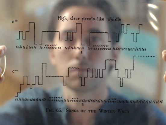 Fotograma del film Langue des oiseaux. Érik Bullot, 2022-2