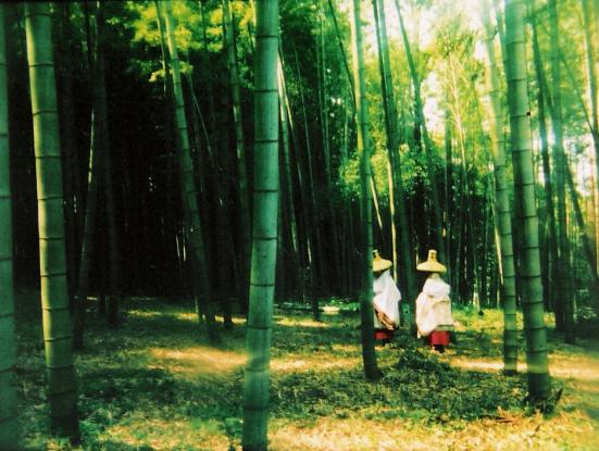 Tokiwa. Copyright: kanatasha