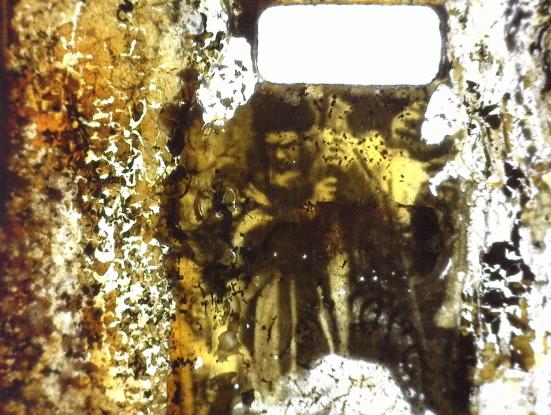 Fragment pel·lícula amb imatge conservada