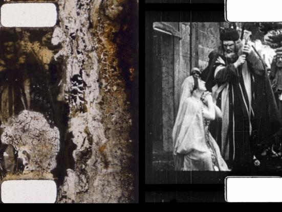 Identificació comparativa