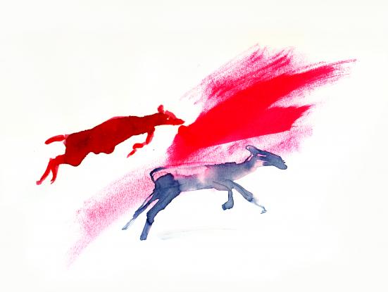 Dibuixos de gaseles per Amore d'inverno (Isabel Herguera, 2015)