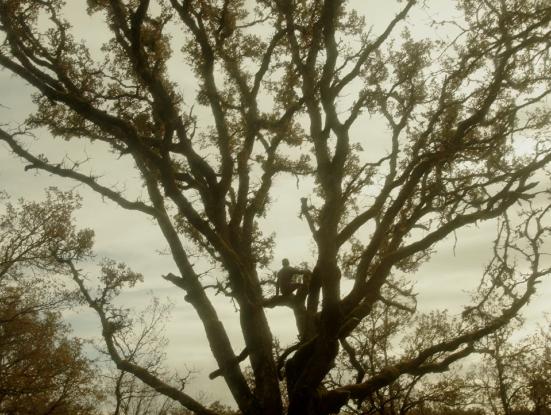  La Source/ La Font d'Anahit Simonian