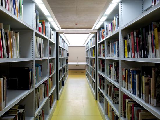 Sant Jordi a la Filmoteca