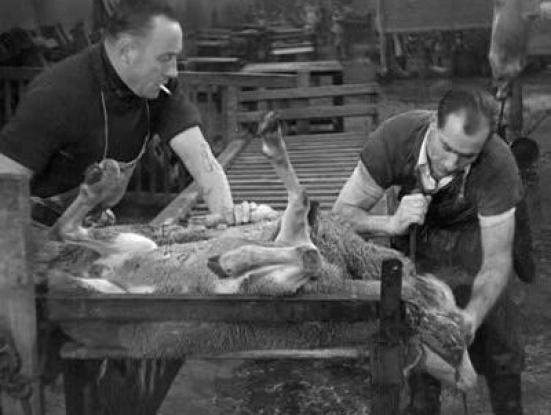 Le sang des bêtes (Georges Franju, 1949)